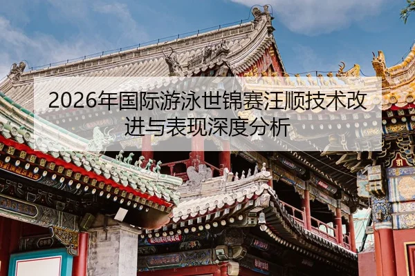 nian-guo-ji-you-yong-shi-jin-sai-wang-shun-ji-shu-gai-jin-yu-biao-xian-shen-du-fen-xi-2-128.jpg