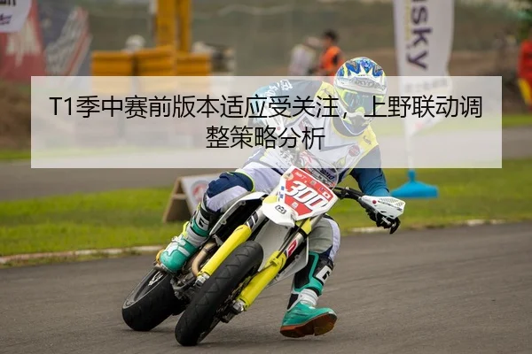 T1季中赛前版本适应受关注，上野联动调整策略分析