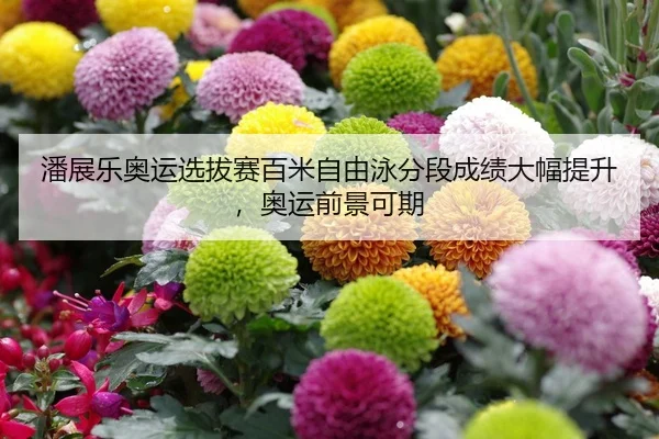 潘展乐奥运选拔赛百米自由泳分段成绩大幅提升，奥运前景可期