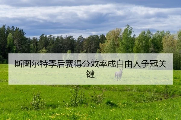 si-tu-er-te-ji-hou-sai-de-fen-xiao-lv-cheng-zi-you-ren-zheng-guan-guan-jian-2-487.jpg
